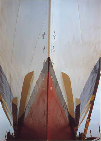Stern & spray rails